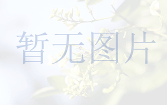 温岭美雅服装辅料有限公司