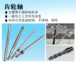 横店集团联宜电机有限公司