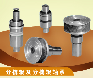 分梳辊及分梳辊轴承 