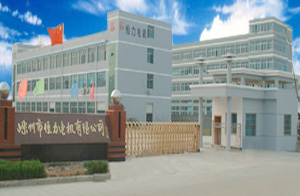 嵊州市恒力电机有限公司