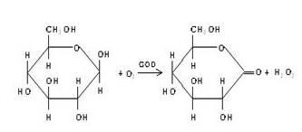 生物酶在羊毛染整加工中的研究与应用综述