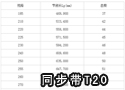同步带T20 