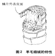 羊毛衫的浮雕印花工艺