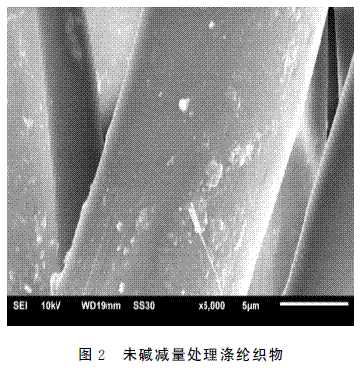 碱减量对涤纶织物涂料染色性能的影响