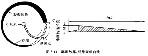 转杯纺纱中的凝聚须条形态
