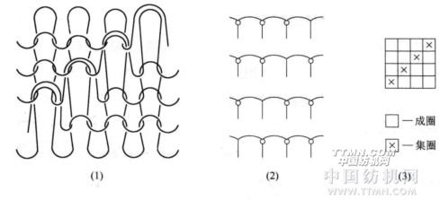 集圈组织结构与特性