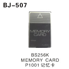 BS256K MEMORY CARD P1001记忆卡