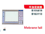 毕加诺面膜（B155819 B163113)