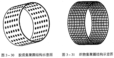 吸风集聚机构关键件—集聚圈