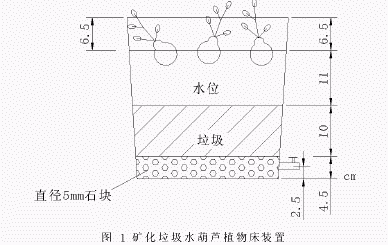 矿化垃圾水生植物床处理印染废水的初探
