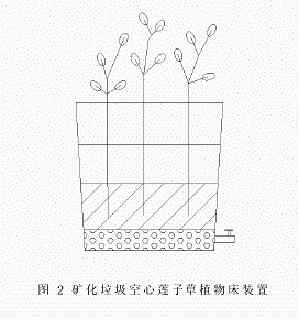 矿化垃圾水生植物床处理印染废水的初探