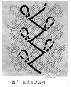 经绒组织结构.jpg