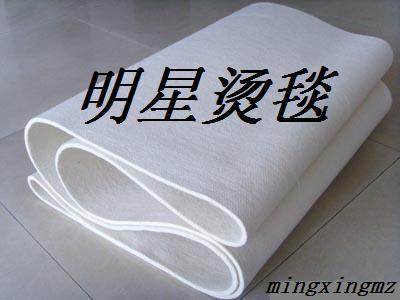 供应纺织印染机器设备精梳机呢毯烫平毡