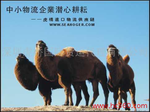 供应从台湾如何进口二手纺织设备|如何办理韩国二手纺织设备进口手续