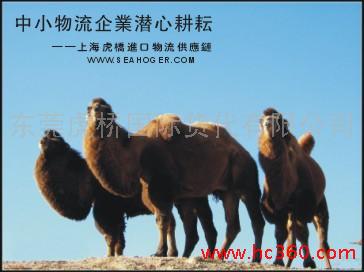 提供服务二手大型纺织机器设备东莞进口