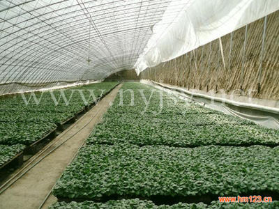 寿光大棚建设，大棚建设造价，大棚建设图片，大棚建设