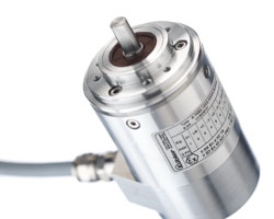 Atex Feldbus