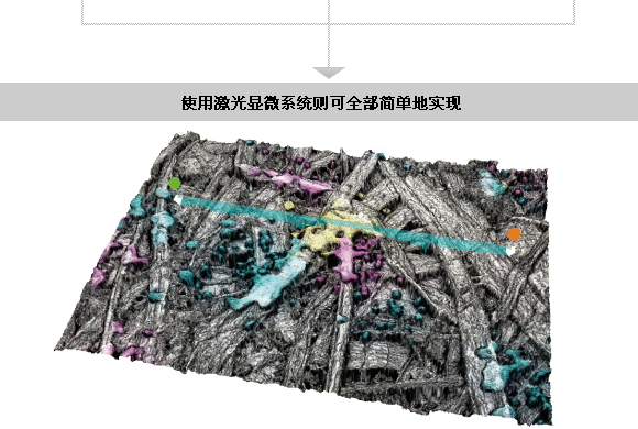 使用激光显微系统则可全部简单地实现
