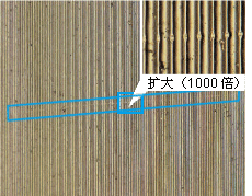 由于接触探针造成样本刮伤