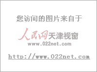 2月29日，在美国纽约一家名为“法林的地下室”的服装店，女顾客们抱着抢到的婚纱准备试穿。当日是该店一年一度的“新娘快跑”促销活动，店内的婚纱特价出售。大批新娘为了能抢购到中意的婚纱早早等在门外