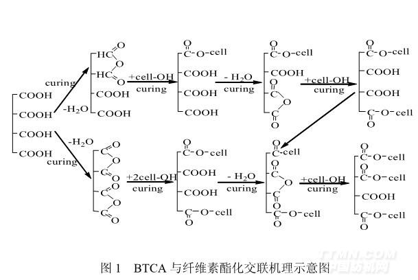 丁烷四羧酸对粘胶纤维的酯化交联反应的研究-
