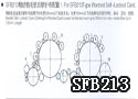 SFB213精纺梳毛机自锁针布配置