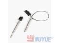 PT melt temperature transmitter- flat probes.