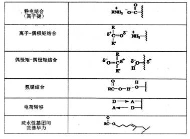 酶促反应的工作原理-中国纺织技术中心 - 中国