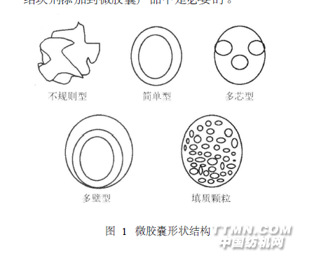 同的结构.微胶囊的形状有椭圆形,圆形和不规则形等(图1) .
