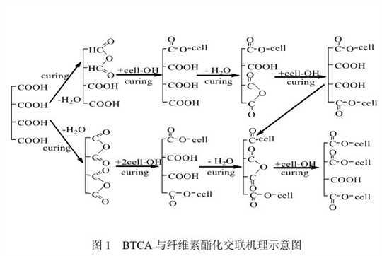 丁烷四羧酸对粘胶纤维的酯化交联反应的研究-